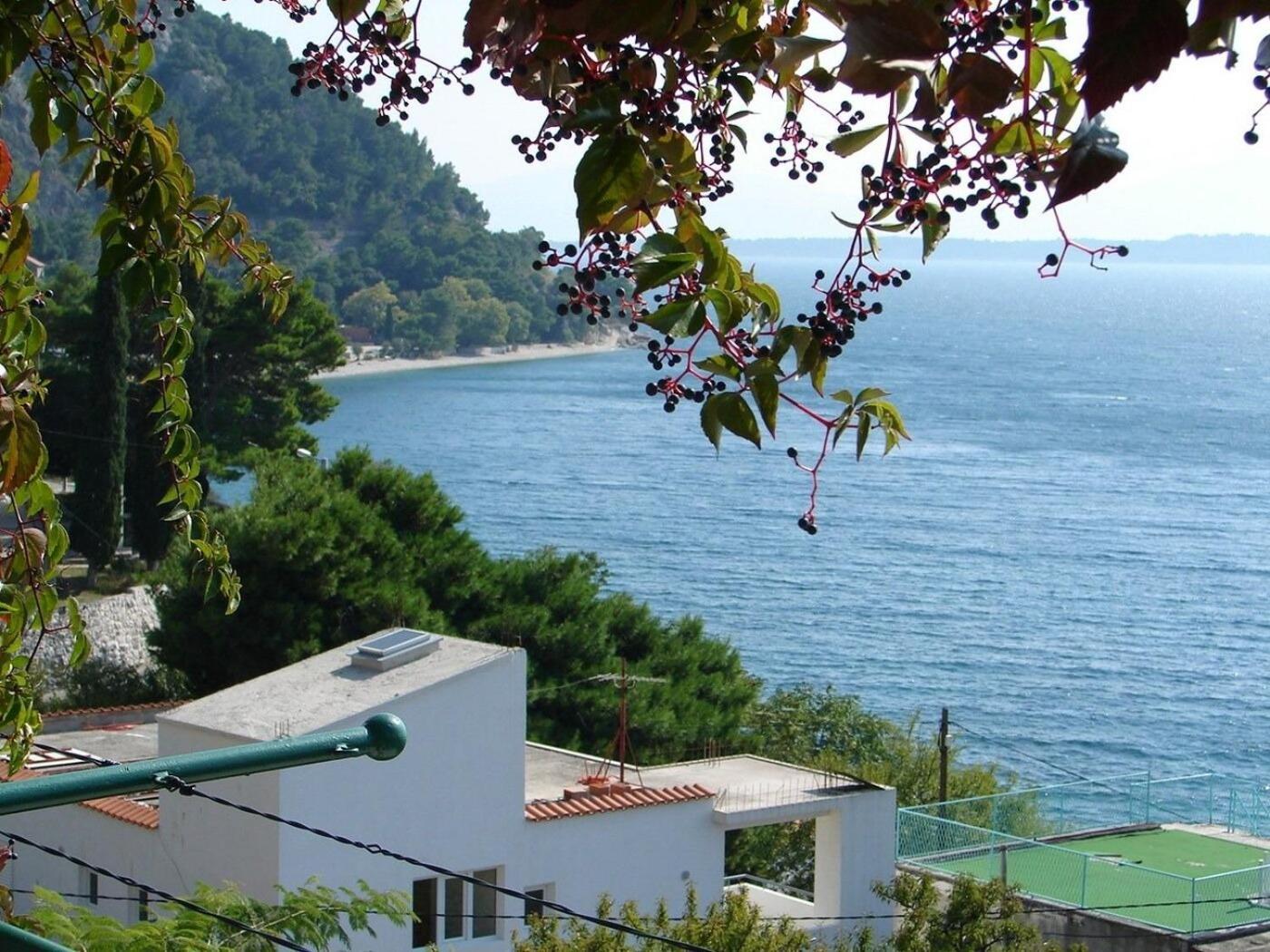Apartments Gogi Živogošće المظهر الخارجي الصورة